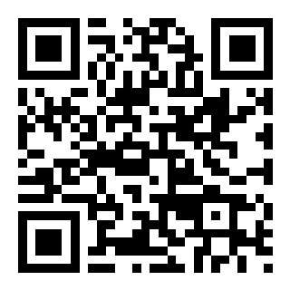 QR-код MAX
